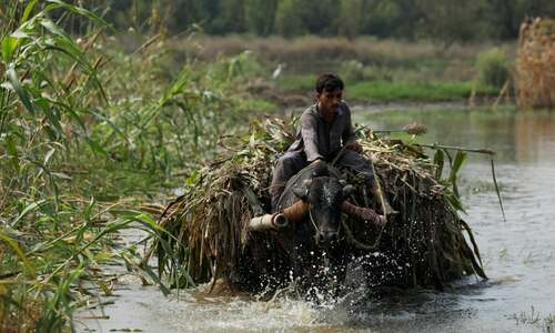 Editorial: Strategy needed for quickest and surest way to get farmers back on their feet after floods