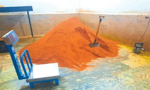 PFA seals spice factory in Shakargarh