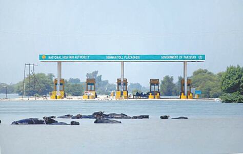 FOOTPRINTS: ON THE MOVE, BUT LEFT IN THE LURCH