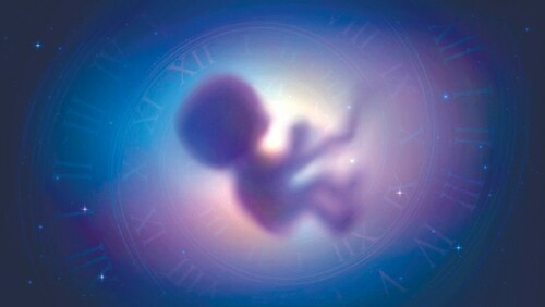 What happens in the womb doesn&rsquo;t stay in the womb