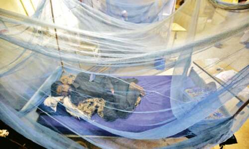 Dengue fever cases continue to register increase in KP