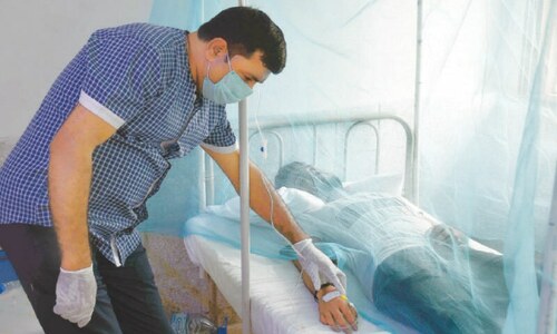 Sindh govt reserves 44 special wards for dengue patients