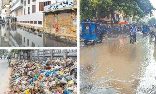 Dengue cases on the rise in Karachi as fumigation yet to yield required results