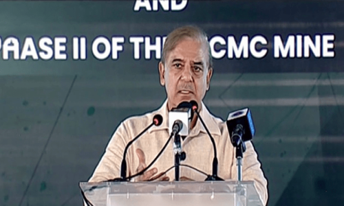 Thar coal project to prove &lsquo;game-changer&rsquo; with $6bn savings in fuel imports: PM Shehbaz