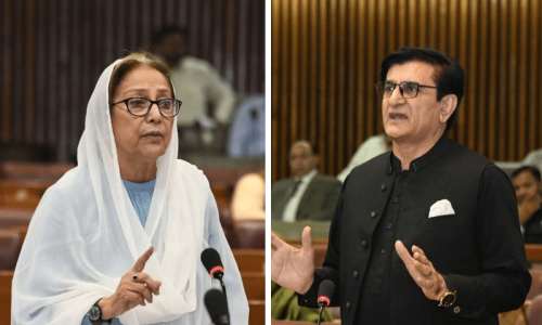 Ruling MNAs demand DNA tests of bodies dumped on Nishtar roof