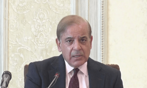 'I will not allow this': PM Shehbaz rules out private sector wheat import for now 'I will not allow this': PM Shehbaz rules out private sector wheat import for now