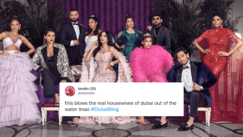 From luxurious lifestyles to fiery fights, we&rsquo;re secretly living for Netflix&rsquo;s new show Dubai Bling and so are netizens