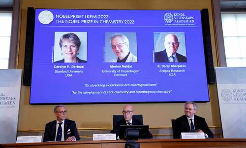 US duo and Dane win Nobel for &lsquo;click chemistry&rsquo;