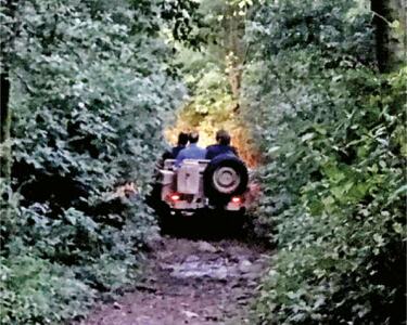 Action sought against man driving jeep on Margalla Hills' Trail 4