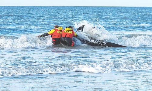 Haitian singer Mikaben dies during concert in Paris