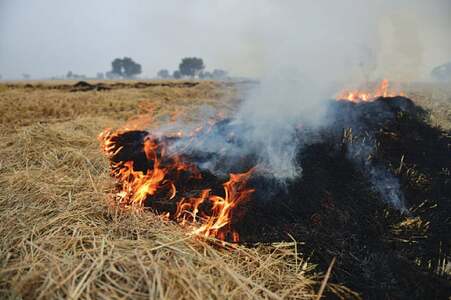 Alternatives to burning stubble