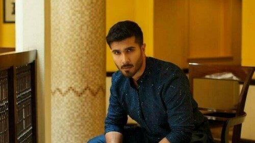 Feroze Khan asks court to issue show-cause notice to ex-wife Aliza Sultan over 'false and fabricated' allegations