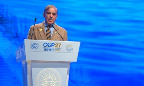 ‘Now or never’: At COP27, PM Shehbaz says Pakistan needs funds, not debts ‘Now or never’: At COP27, PM Shehbaz says Pakistan needs funds, not debts