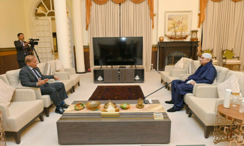 Zardari counsels Shehbaz at critical juncture