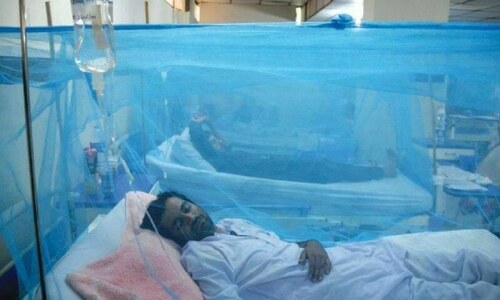 Some respite for Karachiites as dengue fever cases on decline