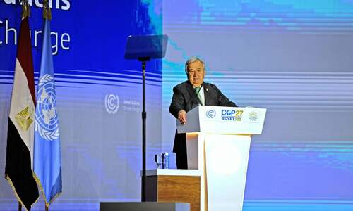 &lsquo;Cooperate or perish&rsquo;: UN chief seeks unity to reduce emissions