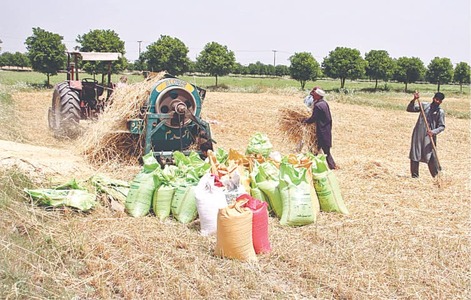 Phase out subsidies to bring efficiency to agri-food system: WB