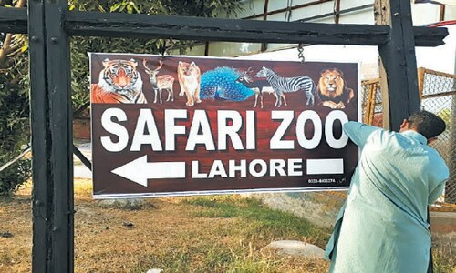 Lahore Safari Zoo improving facilities to attract more visitors