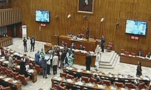 Reko Diq project: Amid PTI protest, Senate passes bill on protection of foreign investment