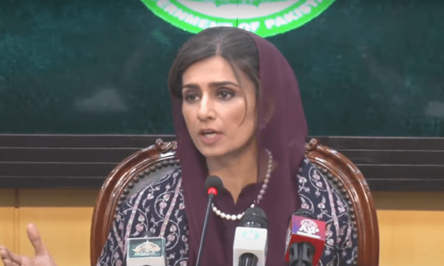 No country has used terrorism better than India: Hina Rabbani Khar
