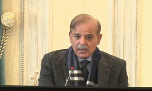 Govt devises plan to conserve energy, cut import bill