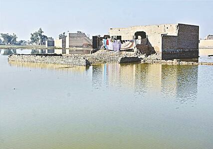 Stagnant floodwaters threatening Rabi after destroying Kharif crops, warns SAB