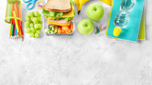 Nutritious school lunch can help improve children&rsquo;s school performance. Here's a nutritionist discussing why