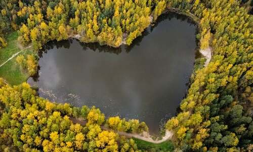 Protecting 30pc of the planet to save nature is not as simple as it sounds