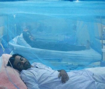 Rising dengue cases Rising dengue cases