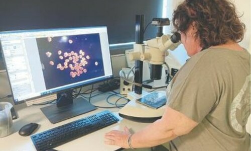 Scientists freeze Great Barrier Reef coral in world-first trial