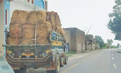 Tobacco demand grows to record 86m kilos