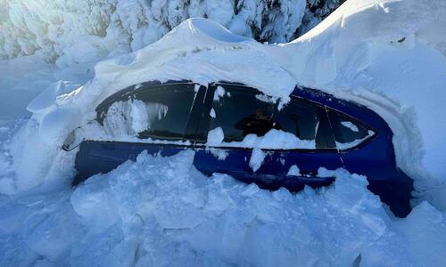 Blizzard leaves US in pre-Christmas deep freeze