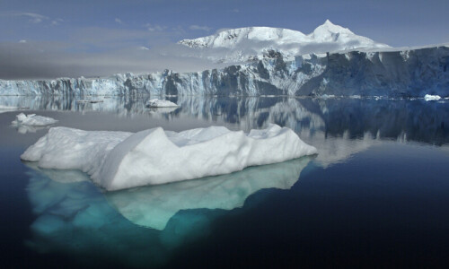 Scientists sound alarm as ocean temperatures hit new record Scientists sound alarm as ocean temperatures hit new record