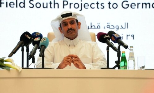 &lsquo;World needs gas supply for longer time&rsquo;