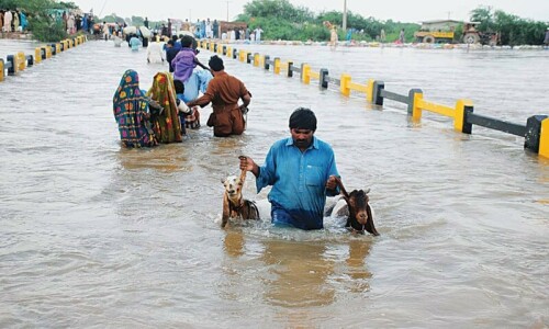 Six months after floods,14.6m people in Pakistan need food support, warns IRC Six months after floods,14.6m people in Pakistan need food support, warns IRC