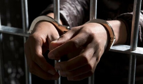 Man arrested for bringing Pakistani girl to India