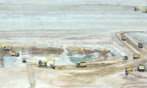 Cement maker to burn Thar coal on trial basis