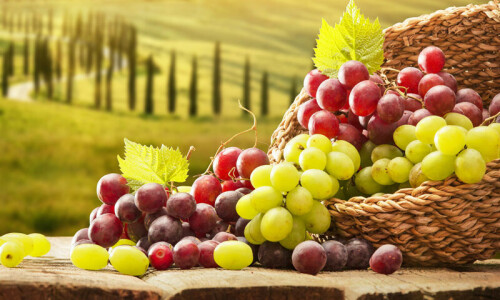 انگور کینسر کا سبب بننے والے مسئلے سے بچانے میں مددگار