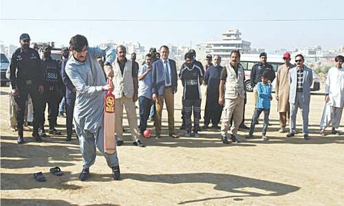 Govt taking measures to curb street crime, says Murad