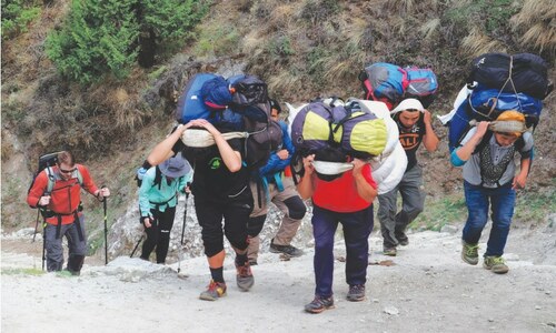 NON-FICTION: THE STRUGGLES OF THE SHERPA