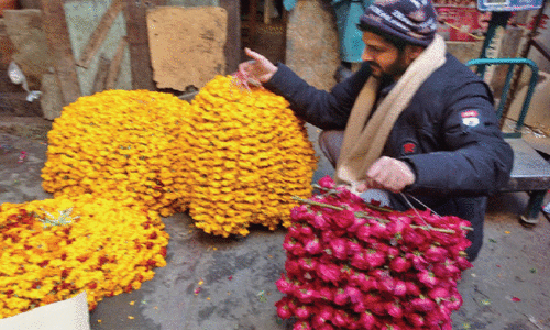 Climate change, inflation affect business of flower sellers