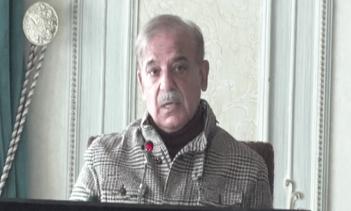 ‘Who brought terrorists back?’ asks PM Shehbaz ‘Who brought terrorists back?’ asks PM Shehbaz
