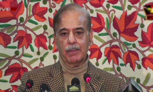 IMF combing ‘every book, every subsidy’ during negotiations: PM Shehbaz