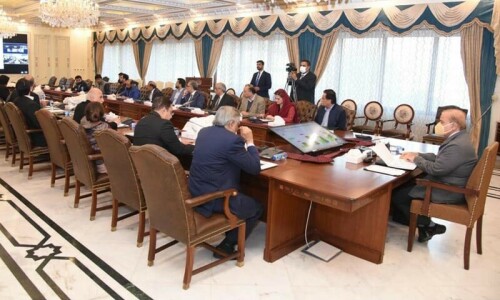 Cabinet ‘hoards’ seven SAPMs amid economic crisis Cabinet ‘hoards’ seven SAPMs amid economic crisis