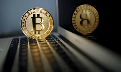 Kitten ruse costs woman $770,000 in crypto scam