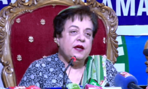 Gen Bajwa wanted TTP families &lsquo;resettled&rsquo; in Pakistan, claims Mazari