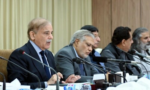 Federal cabinet to forgo salaries, perks as PM Shehbaz announces slew of austerity measures