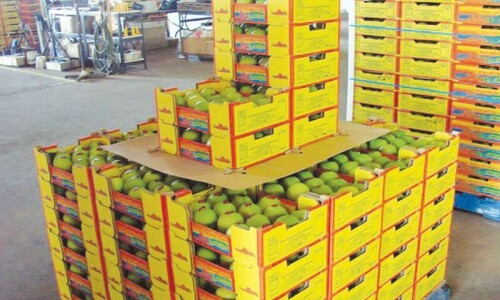 Pakistan looks to export mangoes, software to US Pakistan looks to export mangoes, software to US