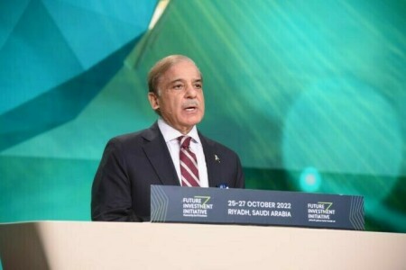 Shehbaz constitutes austerity monitoring committee