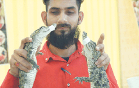 Illegal display of endangered wild animals at Karachi University sparks controversy